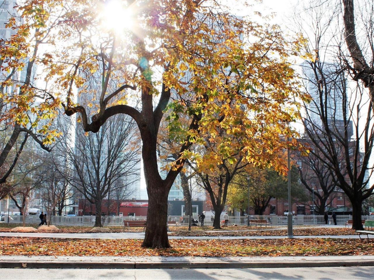 The Clarence Park Vandrarhem Toronto Exteriör bild