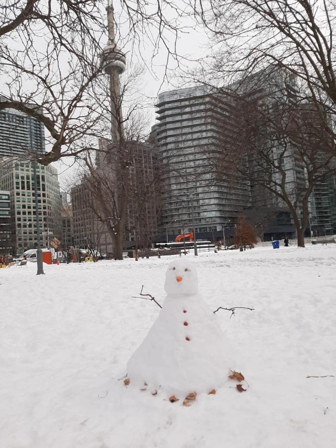 The Clarence Park Vandrarhem Toronto Exteriör bild